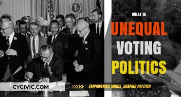 Unequal Voting Politics: Understanding Power Imbalances in Democratic Systems