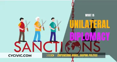 Unilateral Diplomacy: Navigating the Complex World Alone