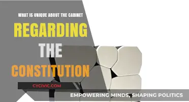 The Cabinet's Constitutional Uniqueness