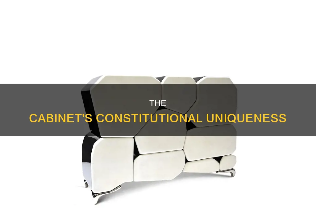 what is unique about the cabinet regarding the constitution