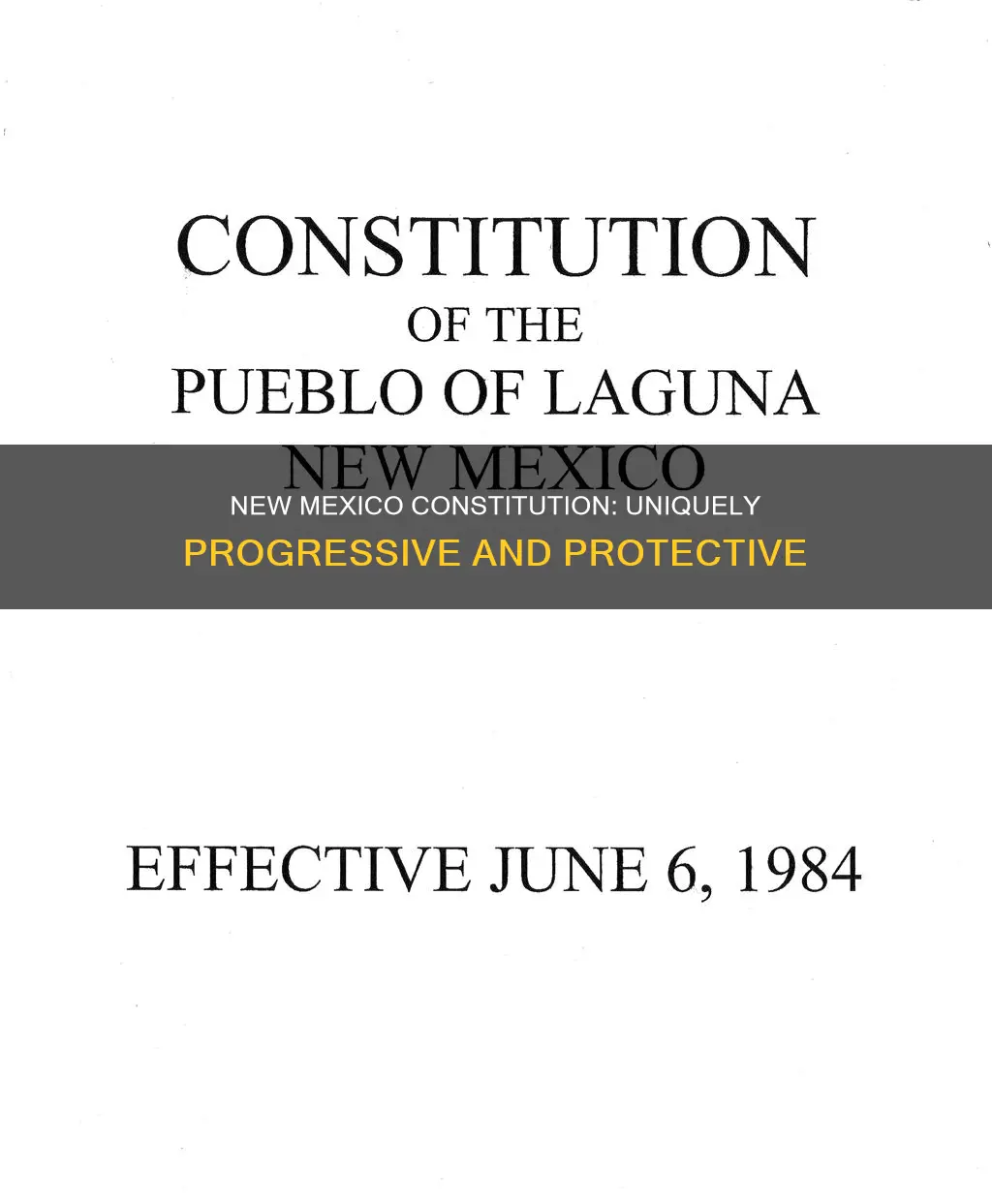 what is unique about the new mexico constitution