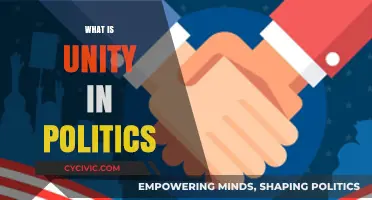 Understanding Unity in Politics: Bridging Divides for Collective Progress