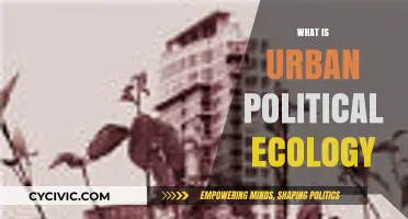Understanding Urban Political Ecology: Cities, Power, and Environmental Justice