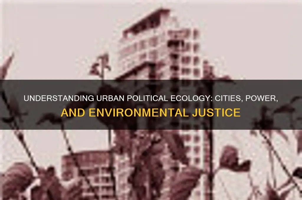 what is urban political ecology