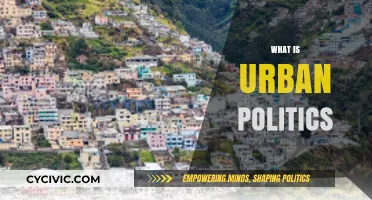 Understanding Urban Politics: Power, Policies, and City Governance Explained