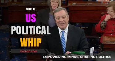 Understanding the Role of a Political Whip in US Politics