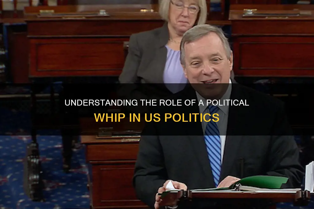 what is us political whip