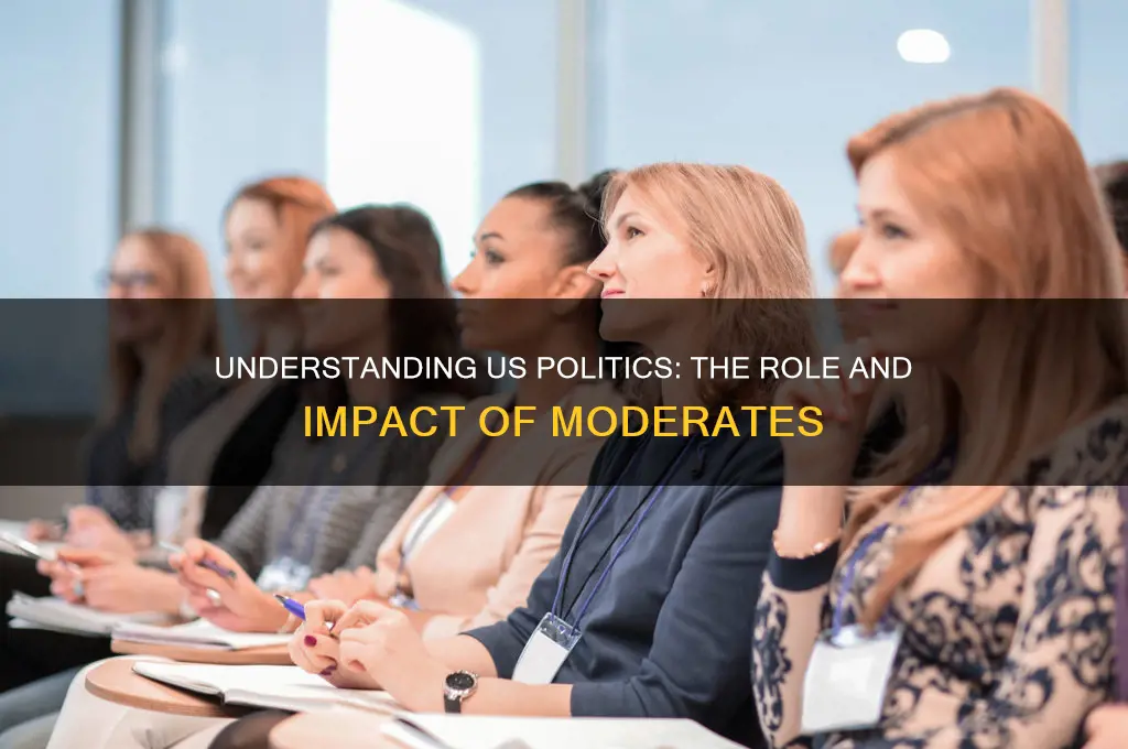 what is us politics moderate