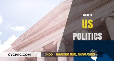 Understanding US Politics: A Comprehensive Guide to American Governance