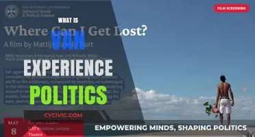Understanding Van Experience Politics: A New Lens on Social Movements