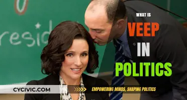 Understanding the Role of a Veep in Political Leadership