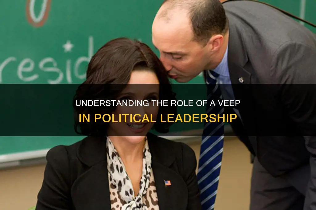 what is veep in politics