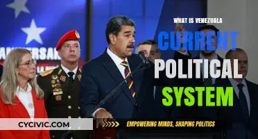 Exploring Venezuela's Political Landscape: A Comprehensive Overview