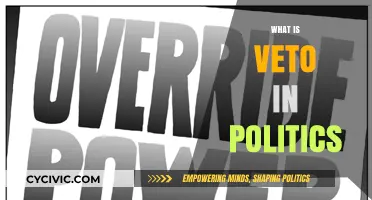 Understanding the Political Veto: Power, Process, and Implications Explained