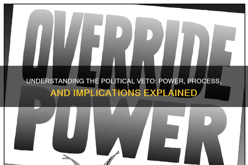 what is veto in politics
