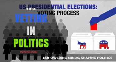 Understanding Political Vetting: Process, Importance, and Impact on Leadership