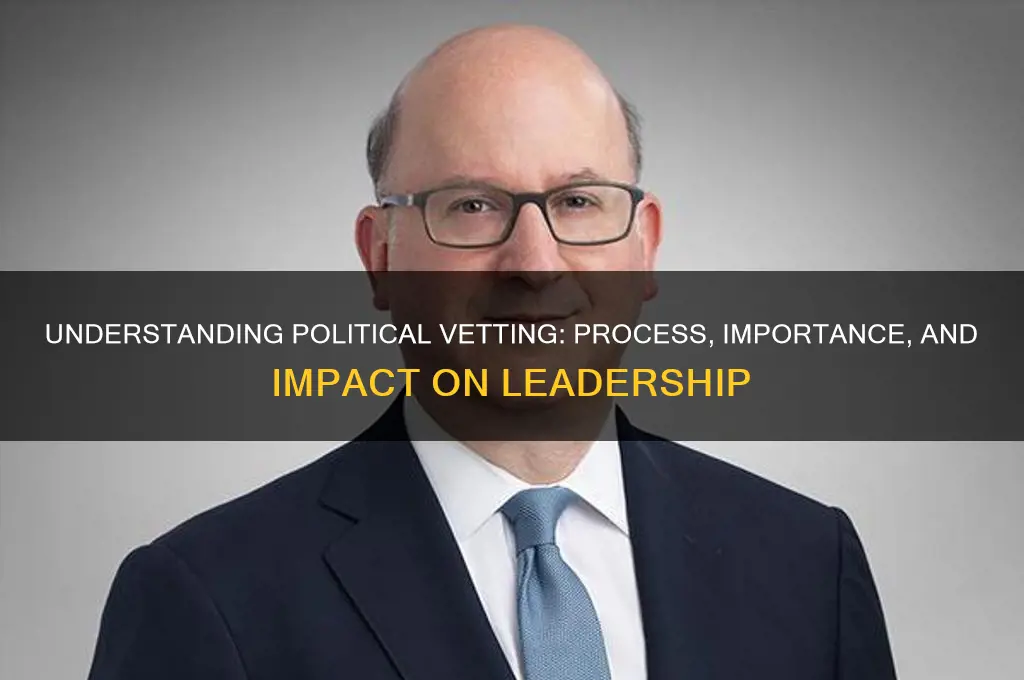 what is vetting in politics