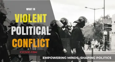 Understanding Violent Political Conflict: Causes, Consequences, and Resolution Strategies