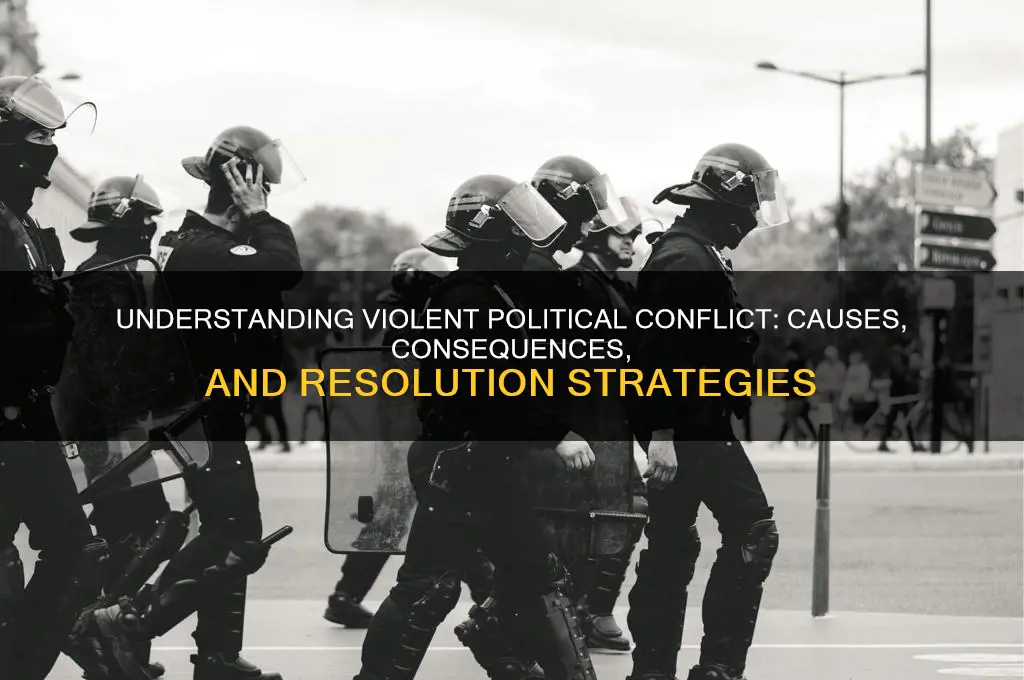 what is violent political conflict