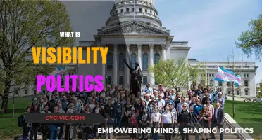 Understanding Visibility Politics: Representation, Power, and Social Change Explained