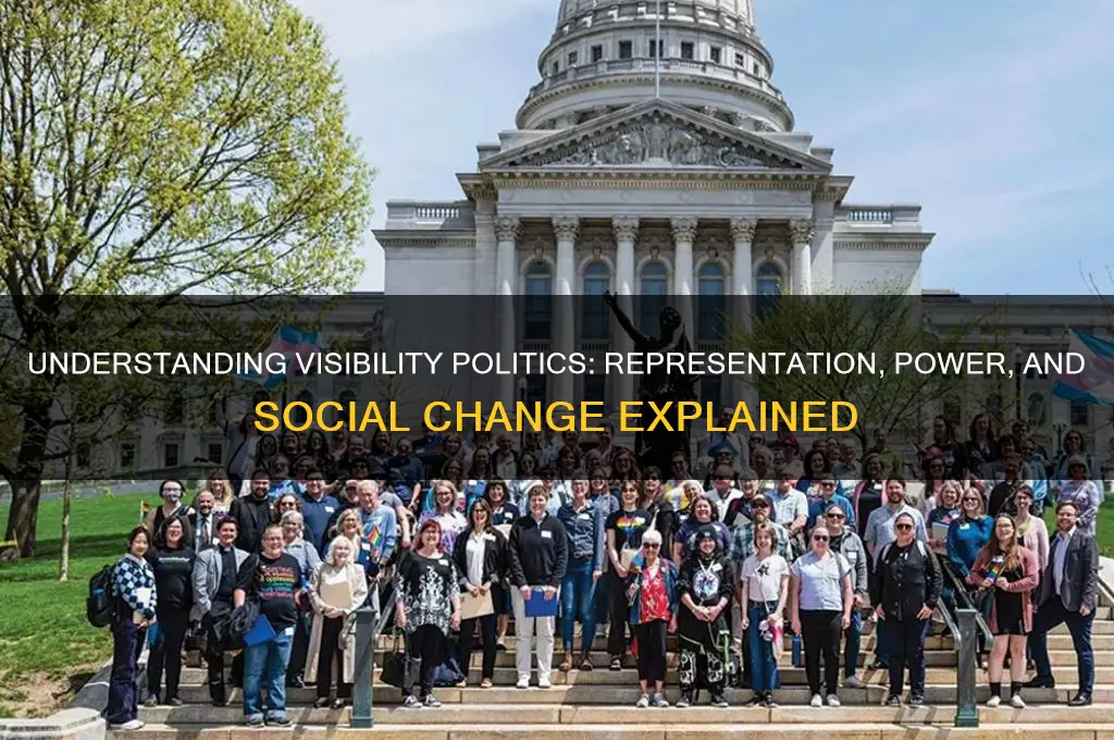 what is visibility politics