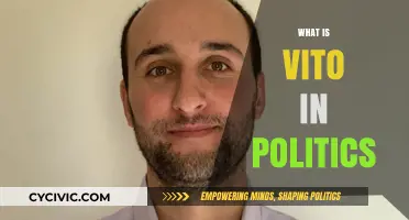 Understanding the Role and Impact of VITO in Political Systems