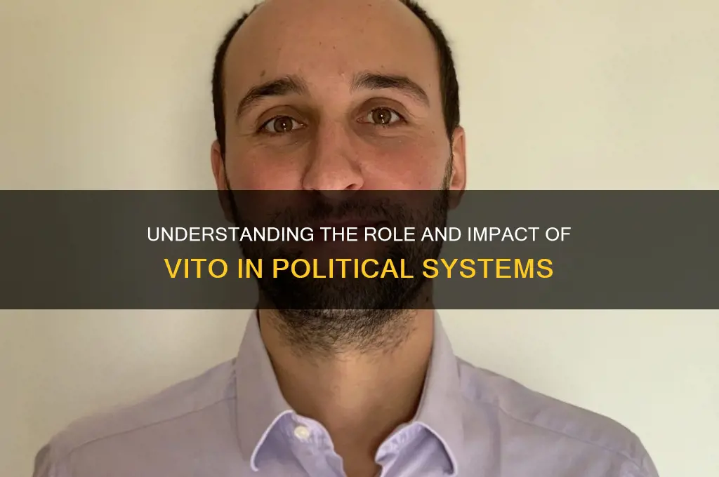 what is vito in politics