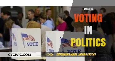 Understanding Voting: The Power and Process in Political Systems