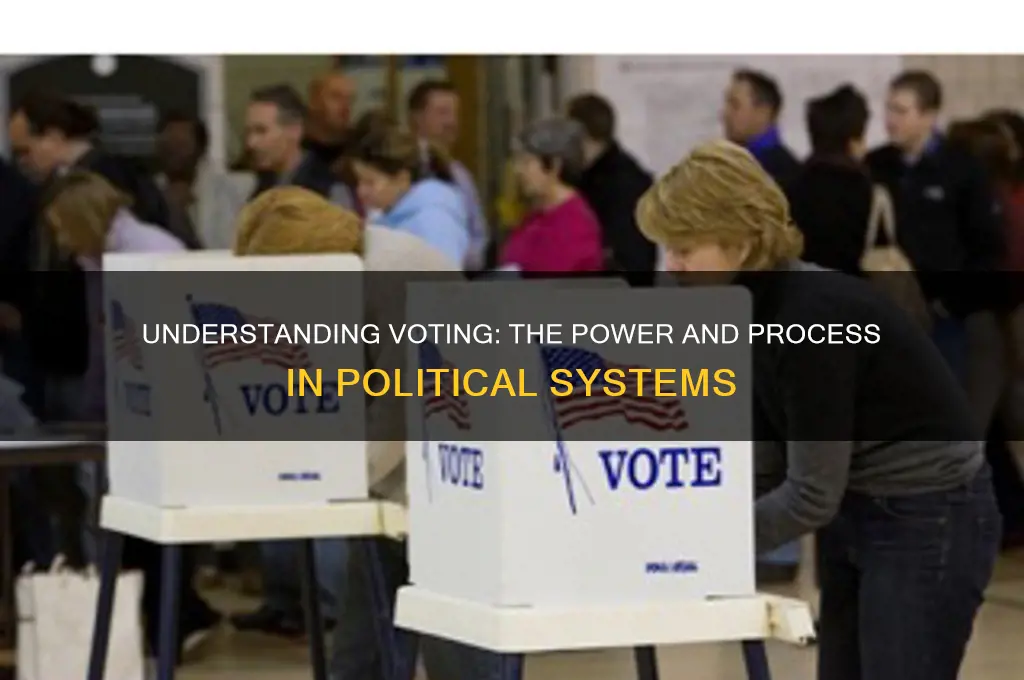 what is voting in politics