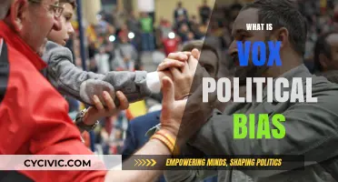 Understanding Vox's Political Bias: A Comprehensive Analysis and Evaluation
