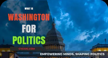 Understanding Washington's Role in Shaping American Politics and Policy
