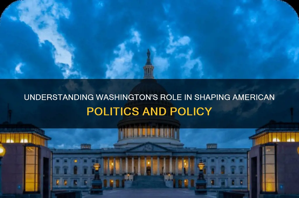 what is washington for politics
