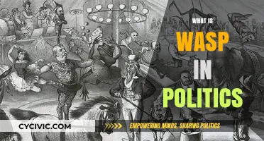 Understanding WASP: White Anglo-Saxon Protestant Influence in Political Landscapes