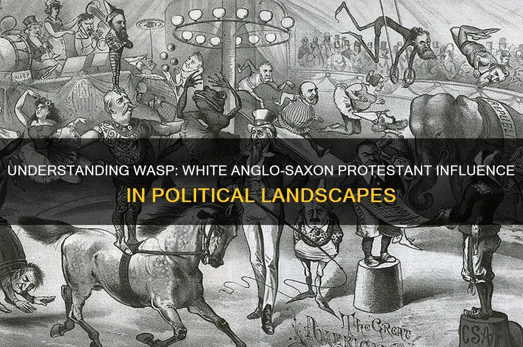 what is wasp in politics