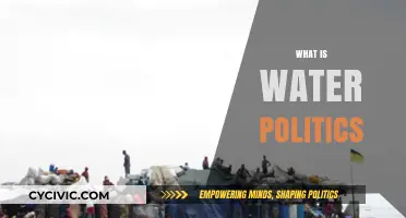 Understanding Water Politics: Power, Scarcity, and Global Resource Conflicts