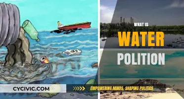 Understanding Water Pollution: Causes, Effects, and Solutions Explained