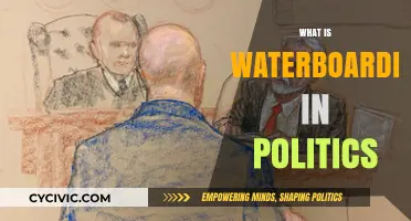 Waterboarding in Politics: Understanding the Controversial Interrogation Technique