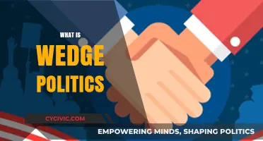 Understanding Wedge Politics: Divisive Strategies in Modern Political Campaigns