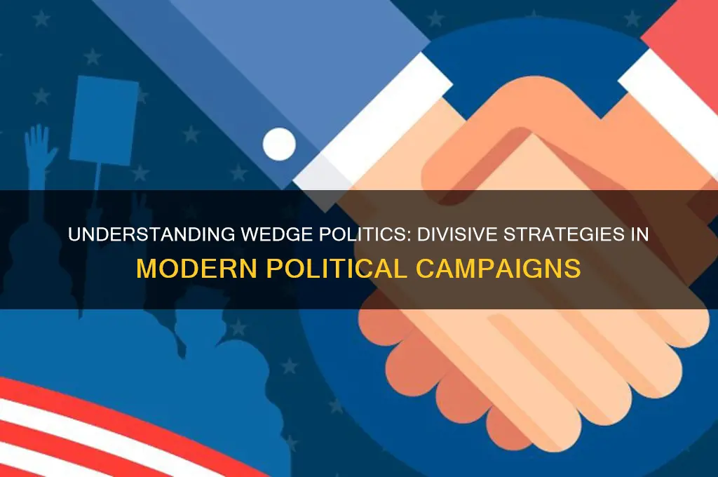 what is wedge politics