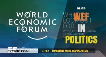 Understanding the World Economic Forum's Role in Global Politics