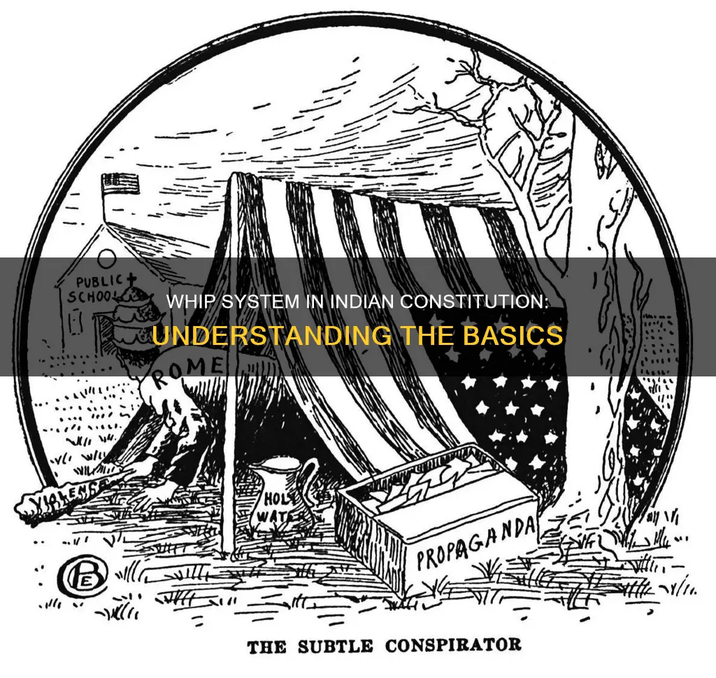 what is whip in indian constitution