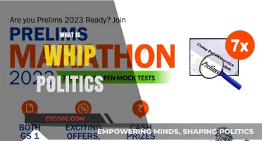 Understanding Whip Politics: Power, Discipline, and Party Unity Explained