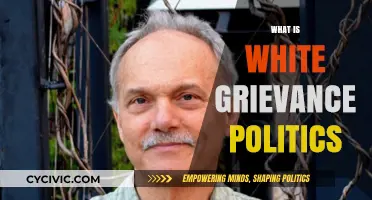 Understanding White Grievance Politics: Origins, Impact, and Societal Implications