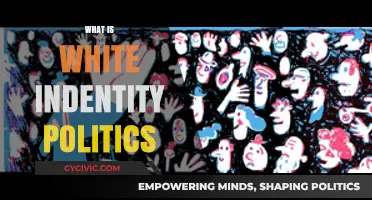 Understanding White Identity Politics: Origins, Impact, and Societal Implications