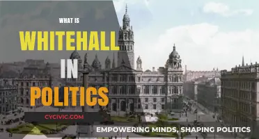 Understanding Whitehall: The Heart of UK Political Governance Explained