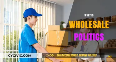 Understanding Wholesale Politics: Strategies, Influence, and Power Dynamics Explained