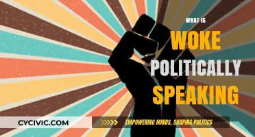 Understanding Woke Politics: Origins, Impact, and Cultural Significance Explained
