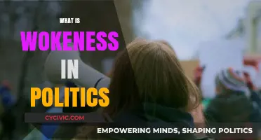 Understanding Wokeness: Its Role, Impact, and Influence in Modern Politics