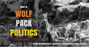 Understanding Wolf Pack Politics: Strategies, Hierarchy, and Modern Implications