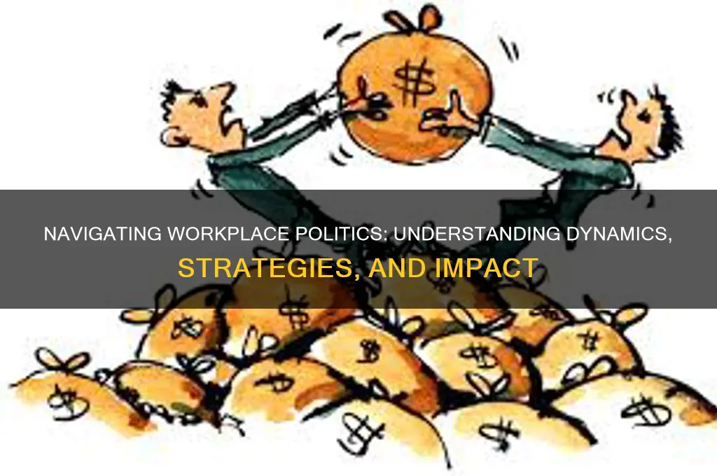 what is workplace politics